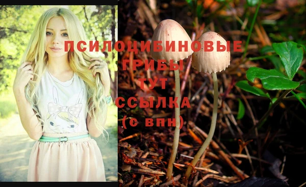 прущие крисы Алексин