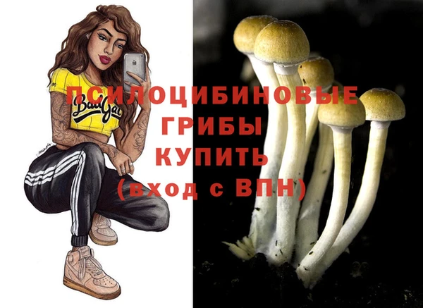 прущие крисы Алексин