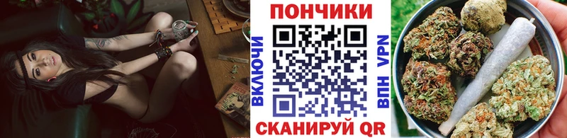 Каннабис индика Бирюч